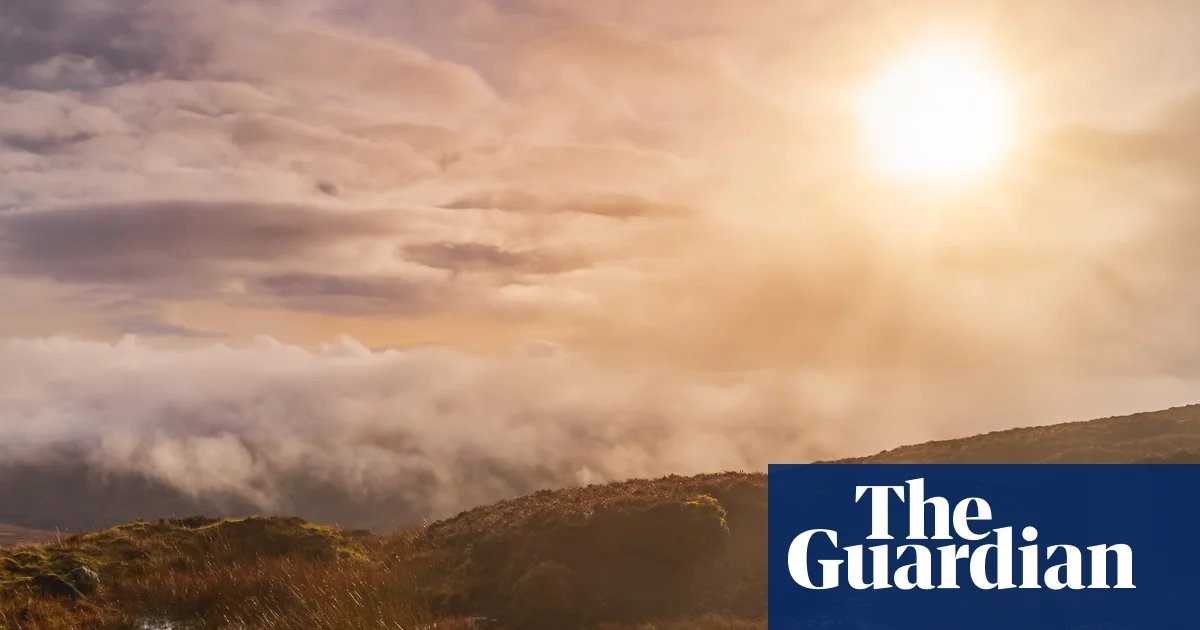 The Red Mouth by Sheila Armstrong review – a profound exploration of Ireland's dark times | Imagination