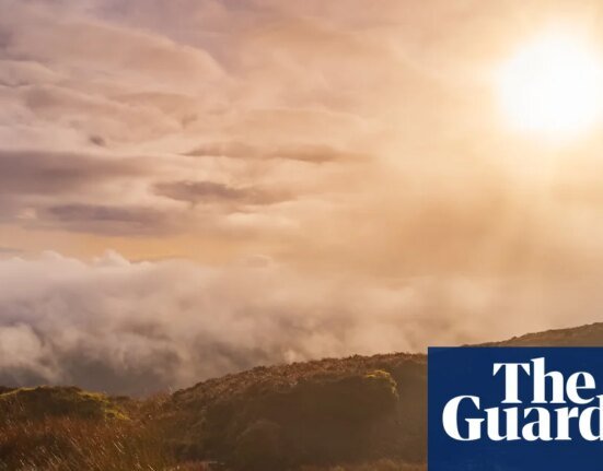 The Red Mouth by Sheila Armstrong review – a profound exploration of Ireland's dark times | Imagination
