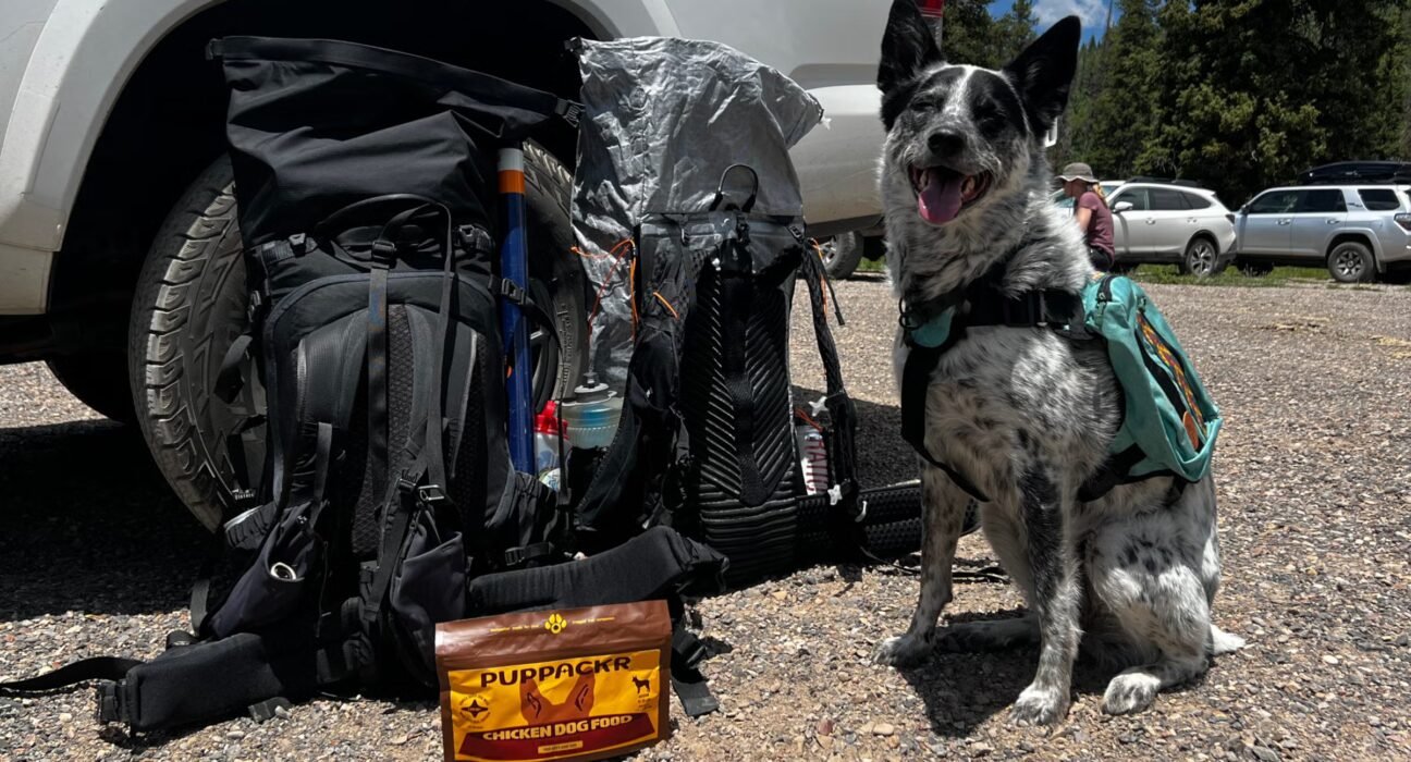 There are dehydrated backpacking foods available for dogs, and they're so good I want to eat one of them