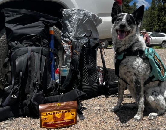 There are dehydrated backpacking foods available for dogs, and they're so good I want to eat one of them