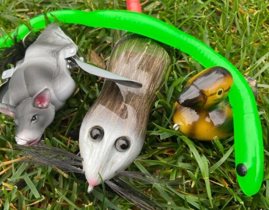 Those trendy creature baits don't actually catch fish. Here's why traditional topwaters are a better option