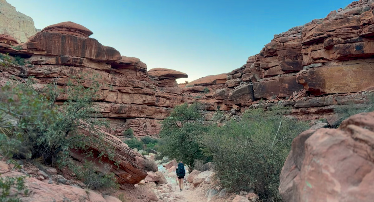 Trail Lessons and New Testament