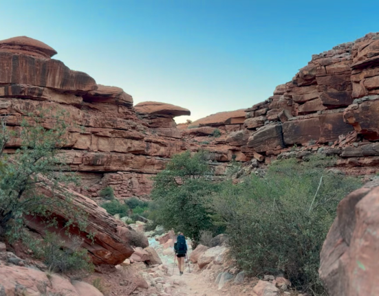 Trail Lessons and New Testament
