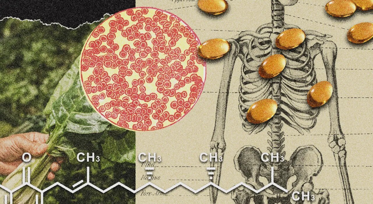 Vitamin K may be the secret to a stronger body