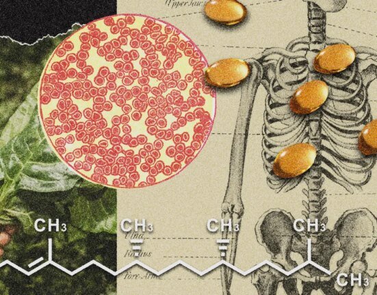 Vitamin K may be the secret to a stronger body