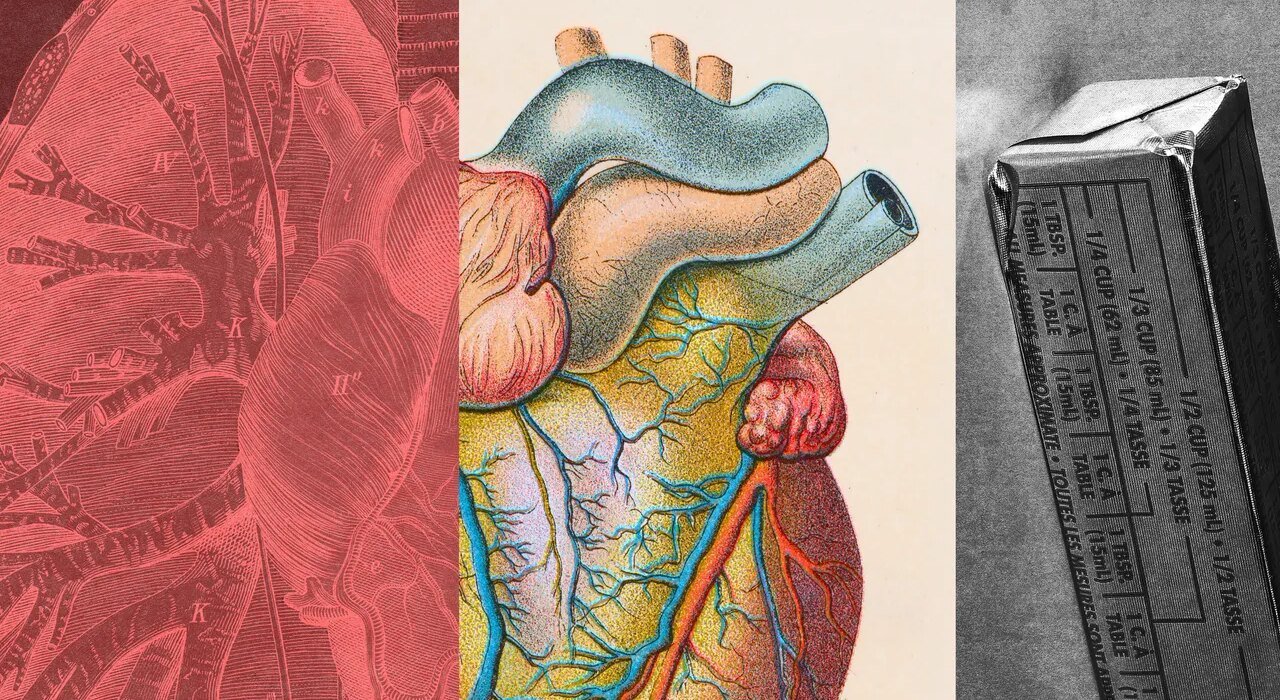 What is LDL cholesterol and how do you lower it?