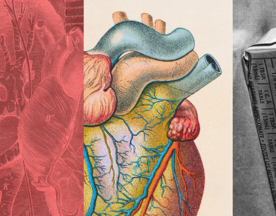 What is LDL cholesterol and how do you lower it?