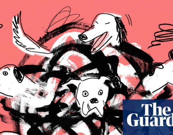 What training my chaotic dog taught me about power, control – and humans – Podcast