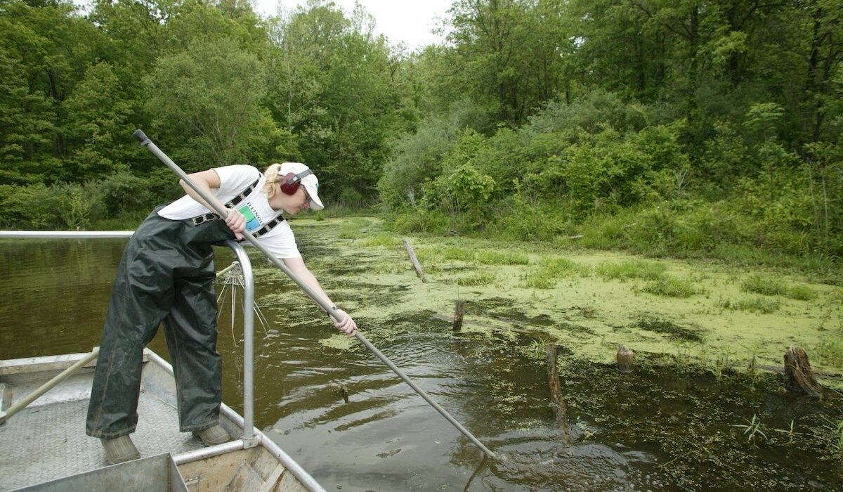 Widespread silver carp die-off reported on Illinois River