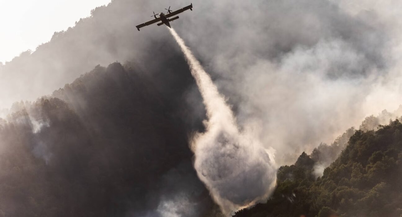 Wildfire Travel Safety: What to Know
