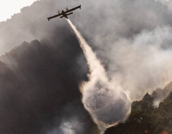 Wildfire Travel Safety: What to Know