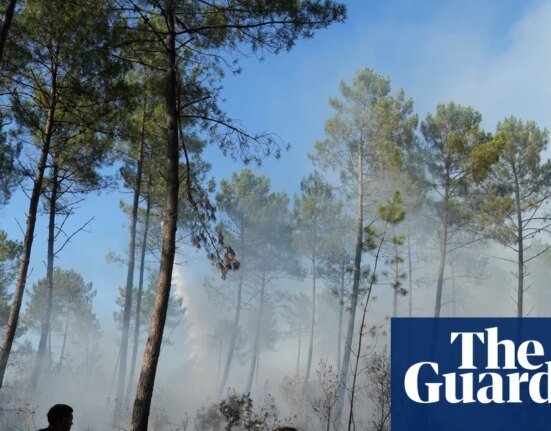 Wildfires are getting closer to Bordeaux - Podcast | France
