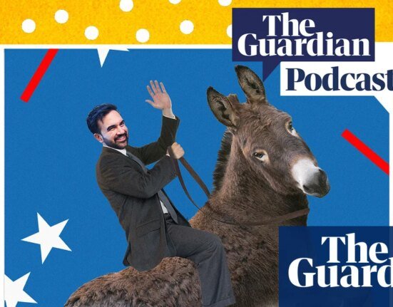 Will the Mamdani Effect make 2028 the year of a leftist president? - The Whole Story Podcast | Zohran Mamdani