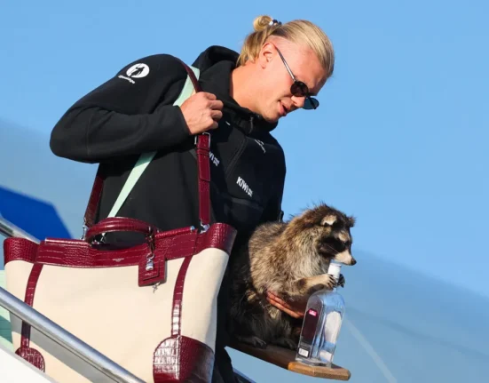 Yes, Erling Haaland Paired Her Designer Bag With a Taxidermy Raccoon