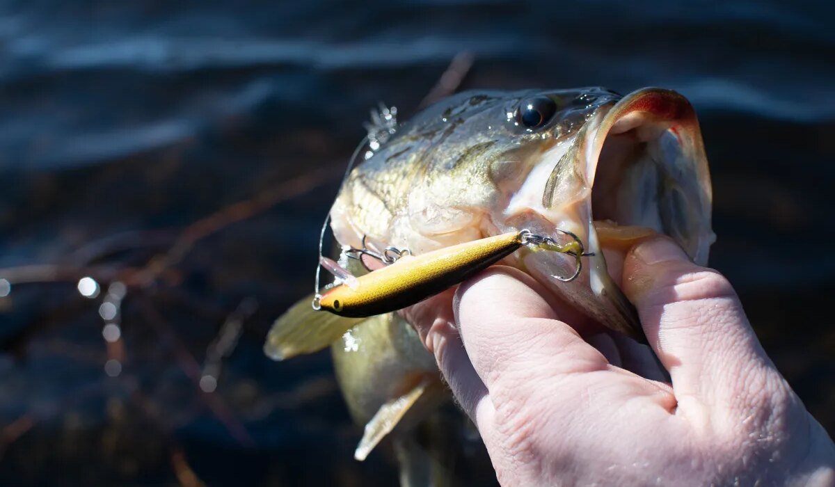 You don't need a boat. Here's how to fish from the shore