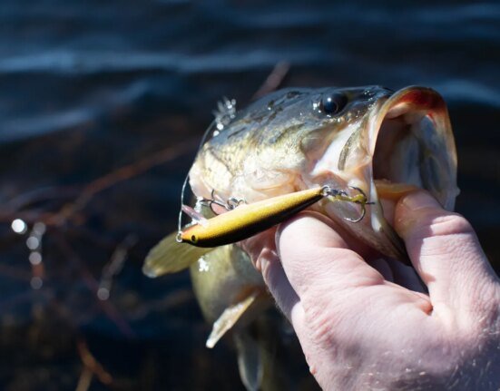 You don't need a boat. Here's how to fish from the shore